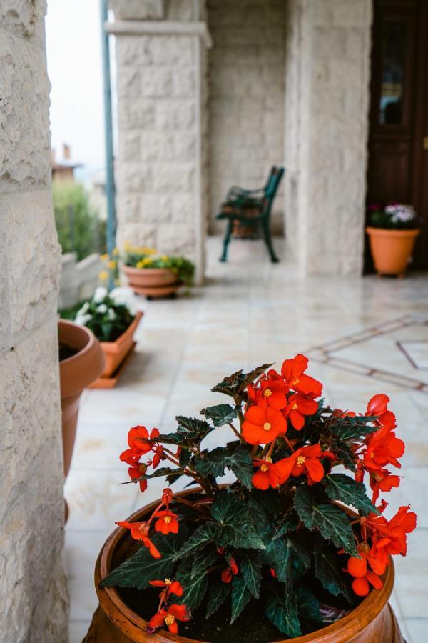 Veria Panorama Luxury Suite With Garden. Exterior photo